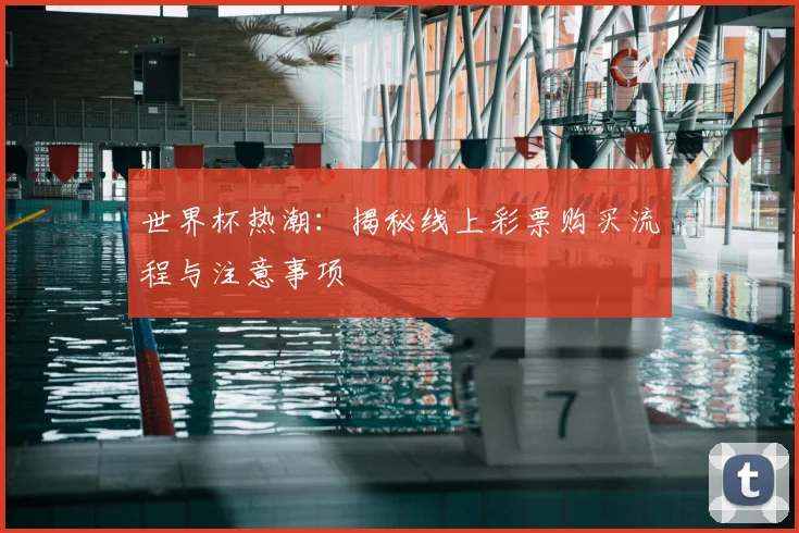 世界杯热潮:揭秘线上彩票购买流程与注意事项