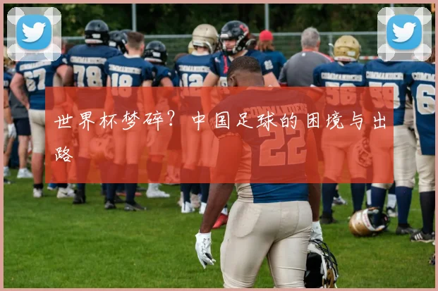 世界杯梦碎？中国足球的困境与出路