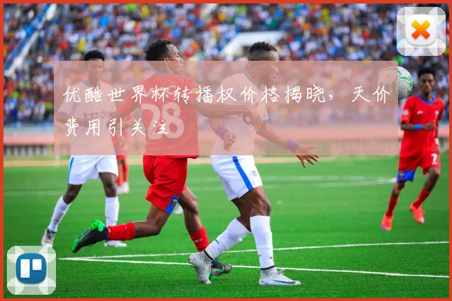 优酷世界杯转播权价格揭晓,天价费用引关注