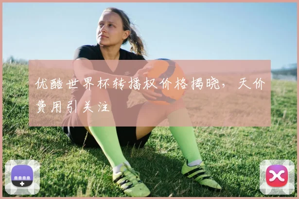 优酷世界杯转播权价格揭晓,天价费用引关注