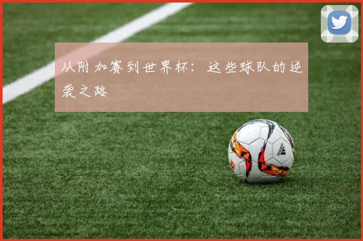 从附加赛到世界杯：这些球队的逆袭之路