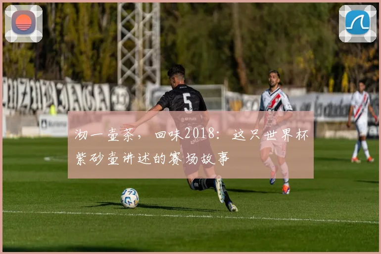 沏一壶茶，回味2018：这只世界杯紫砂壶讲述的赛场故事