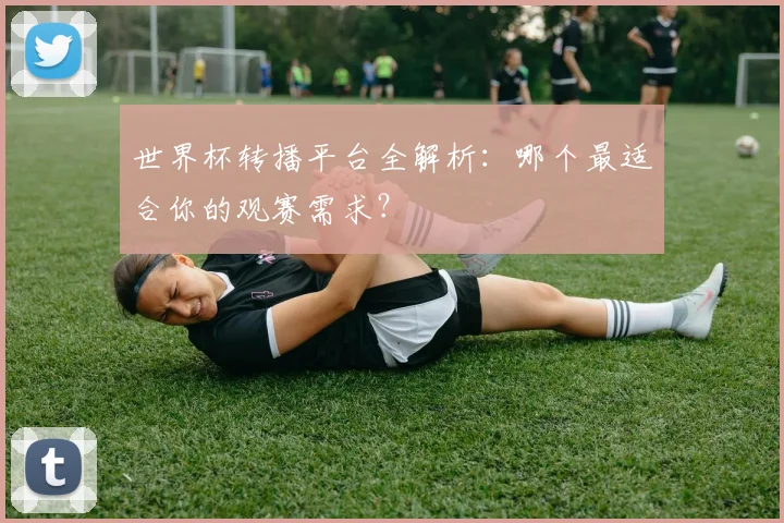 世界杯转播平台全解析：哪个最适合你的观赛需求？