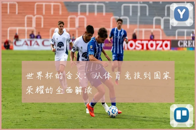 世界杯的含义：从体育竞技到国家荣耀的全面解读