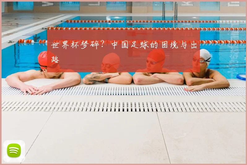 世界杯梦碎？中国足球的困境与出路