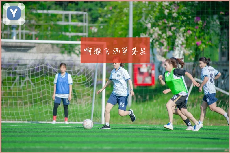世界杯转播APP全解析：官方授权平台与观赛指南