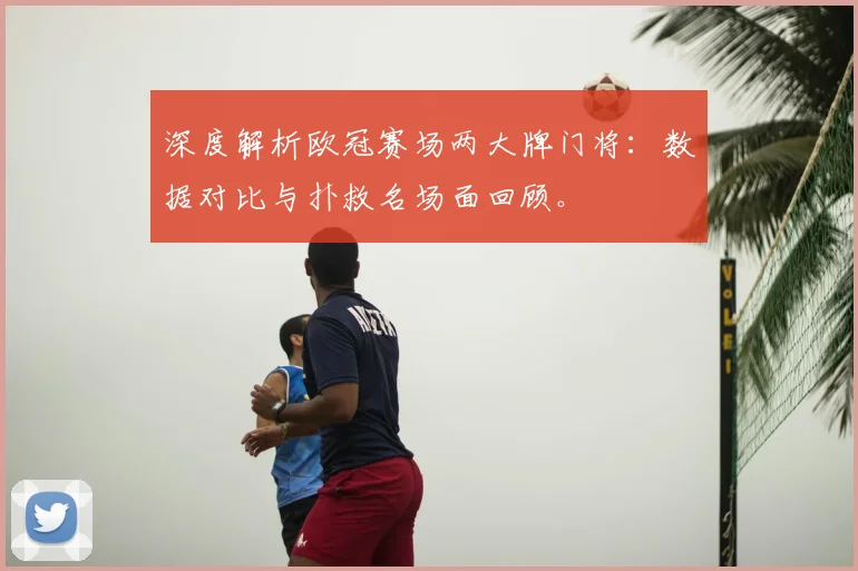 深度解析欧冠赛场两大牌门将：数据对比与扑救名场面回顾。