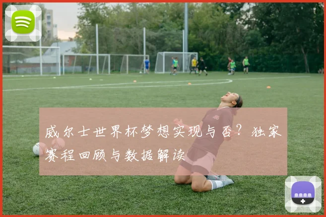 威尔士世界杯梦想实现与否？独家赛程回顾与数据解读