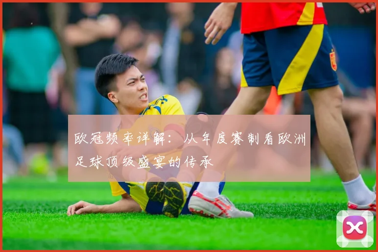 欧冠频率详解：从年度赛制看欧洲足球顶级盛宴的传承